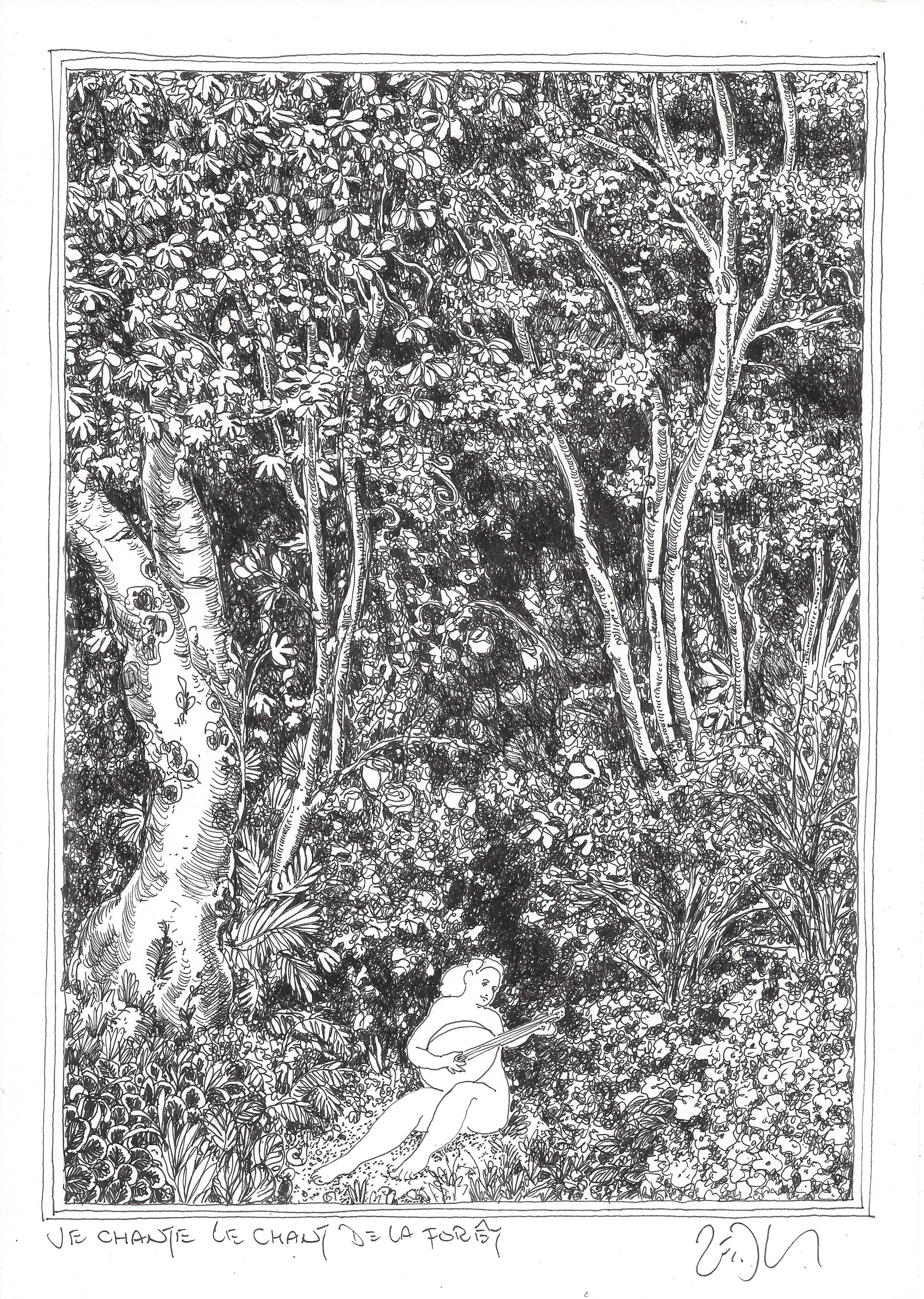 « I sing the forest song – Je chante le chant de la forêt »