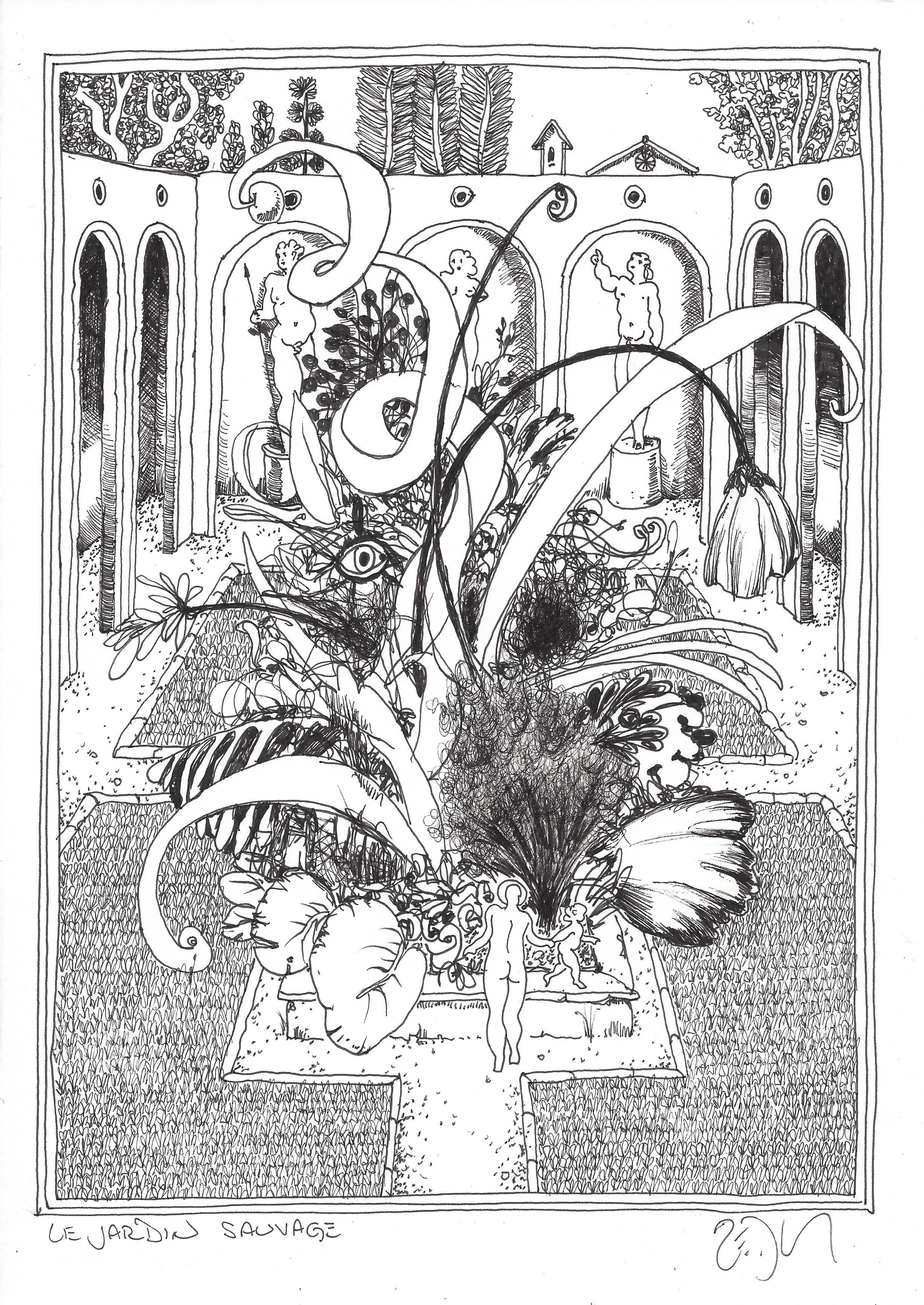 « The wild garden – Le jardin sauvage »