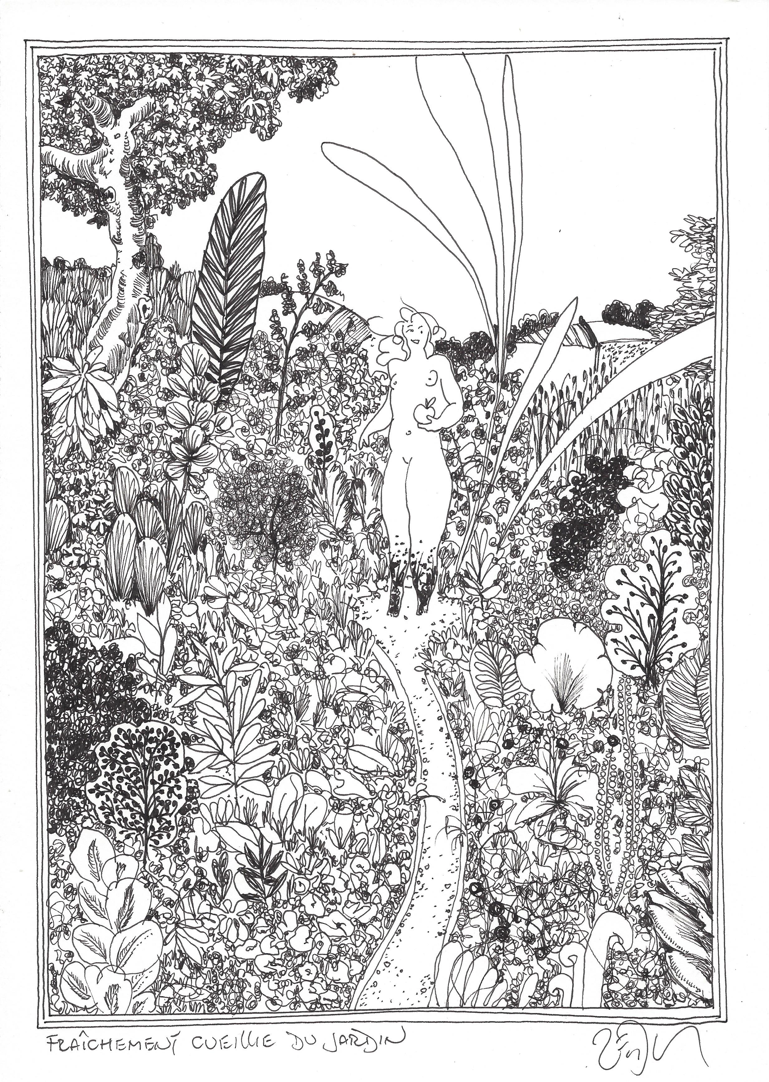 « Fresh out of the garden – Fraîchement cueillie du jardin »