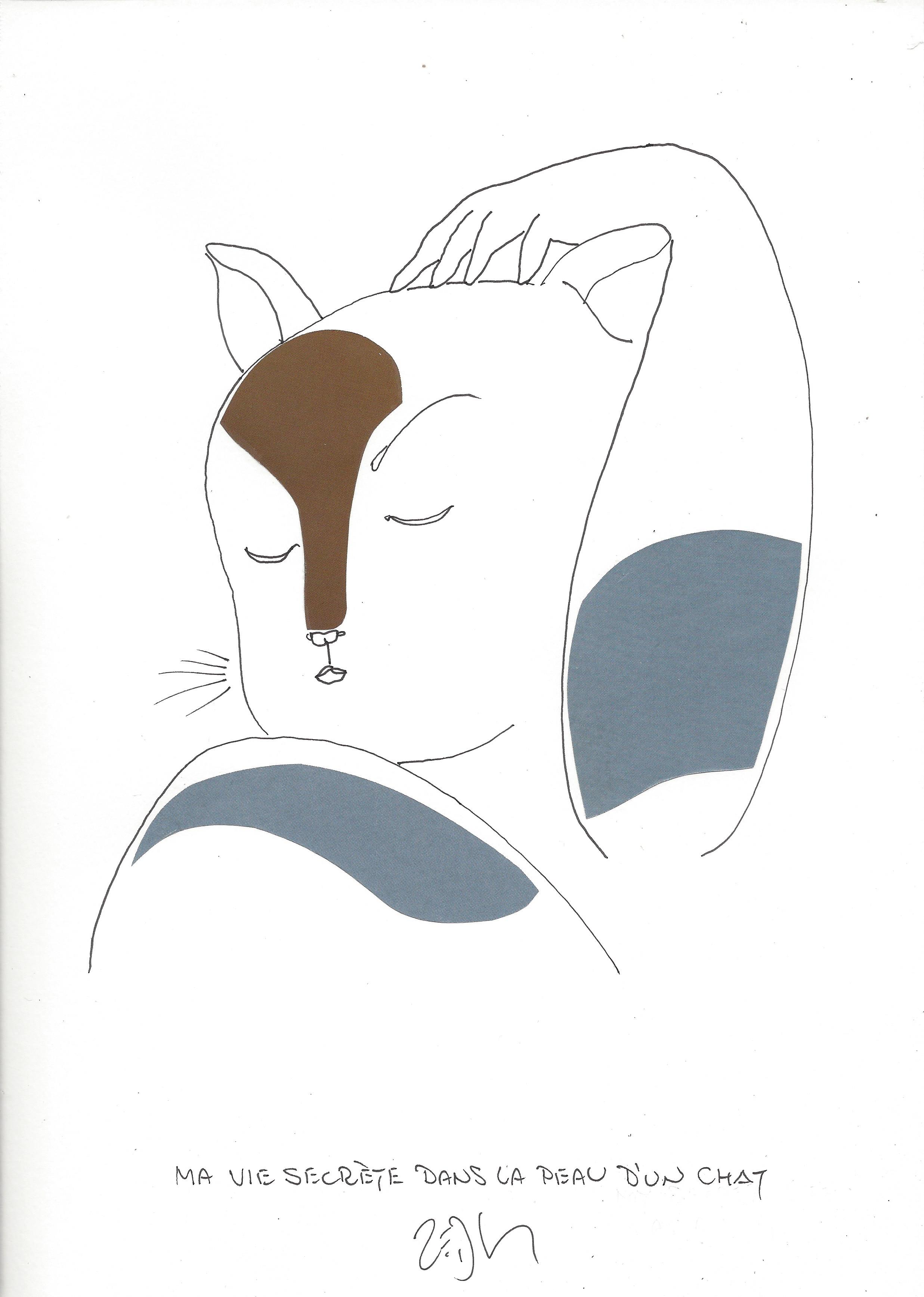 « My secret life as a cat – Ma vie secrète dans la peau d’un chat »