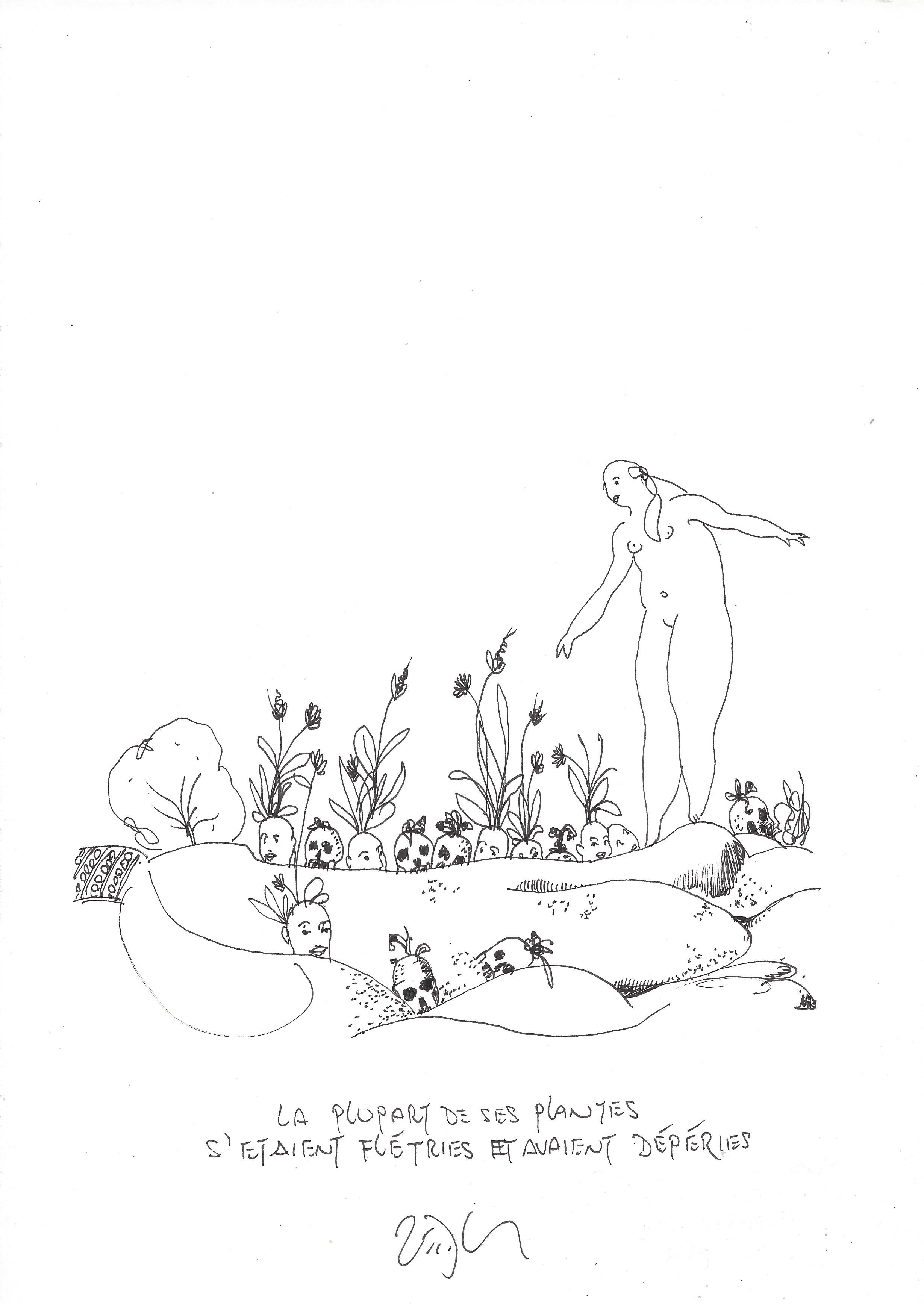 « But now, so many of her plants just withered and died – La plupart de ses plantes s’étaient flétries et avaient dépéries »