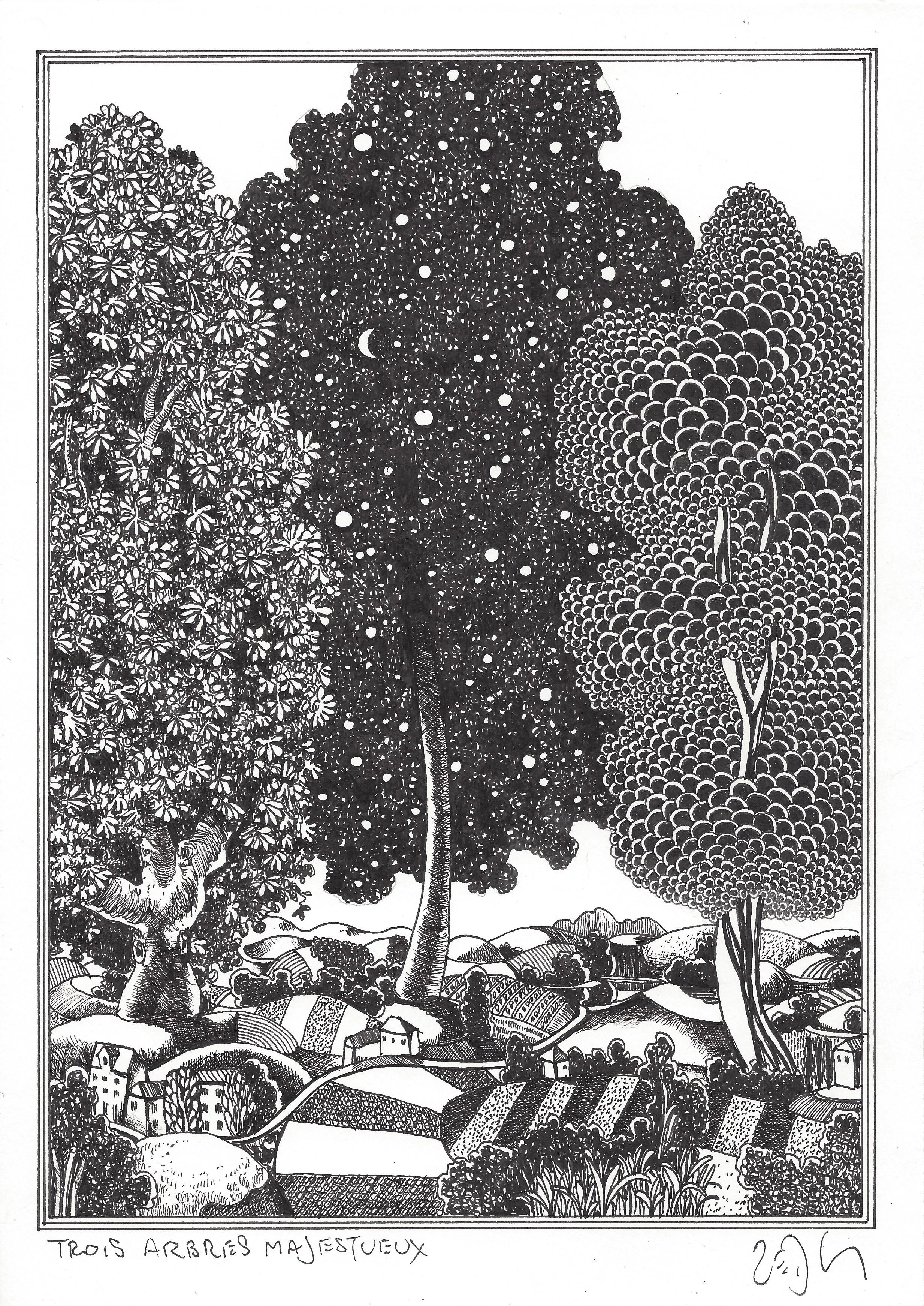 « Three great trees – Trois arbres majestueux »