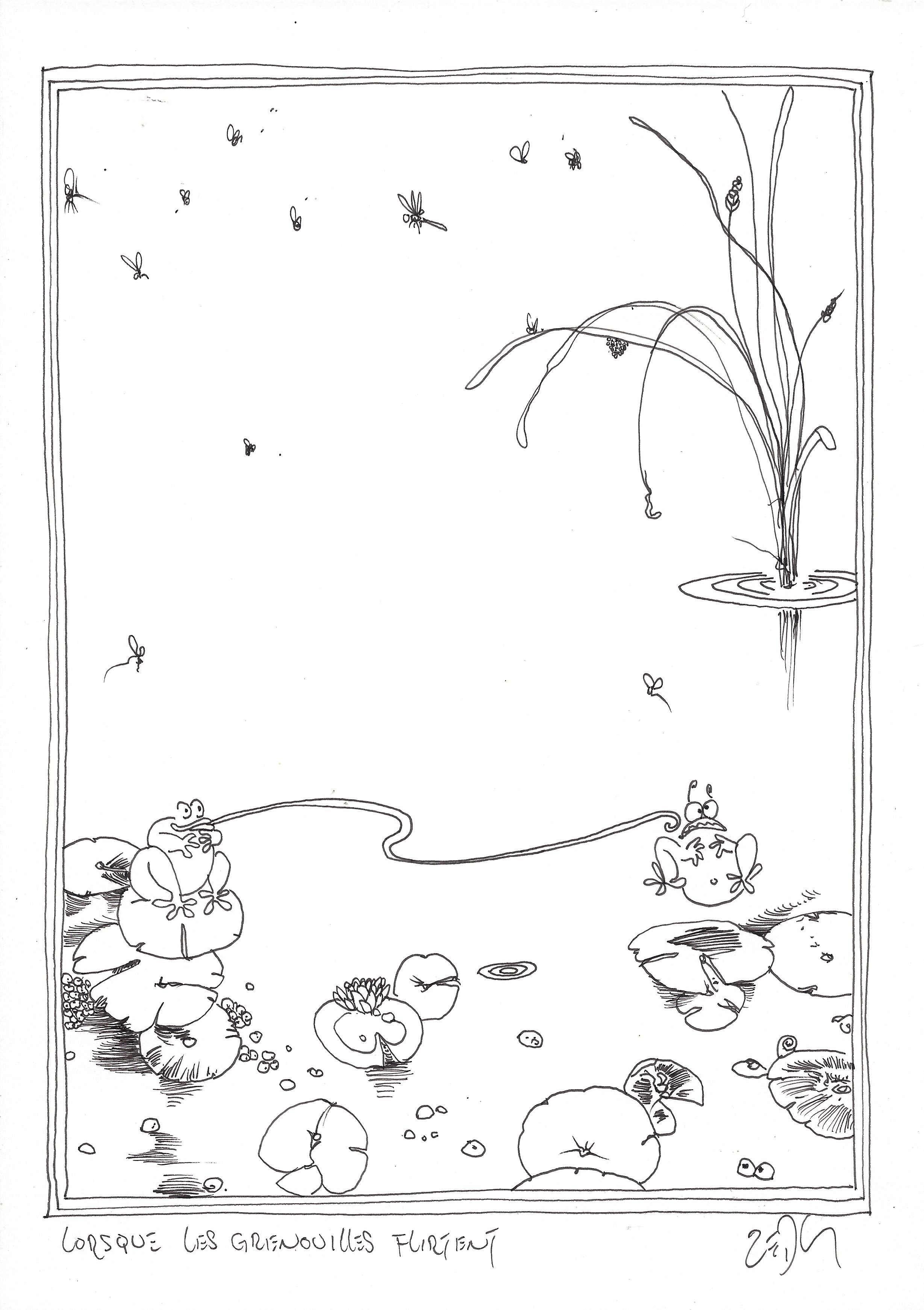 « When frogs flirt – Lorsque les grenouilles flirtent »