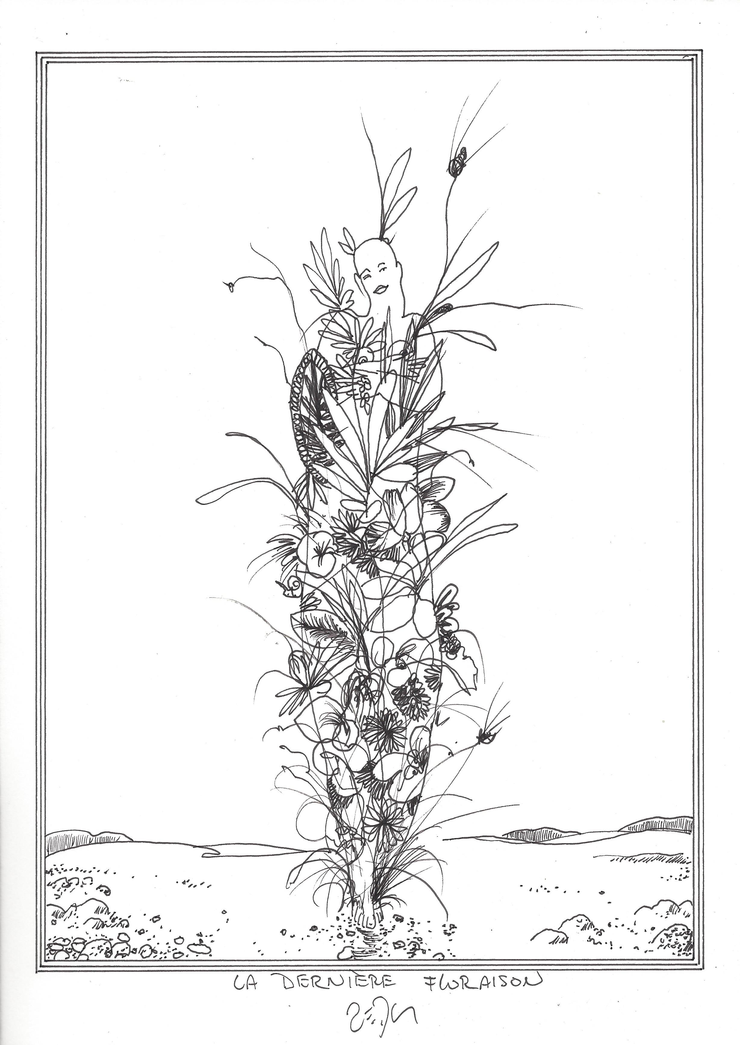 « The last flowering – La dernière floraison »