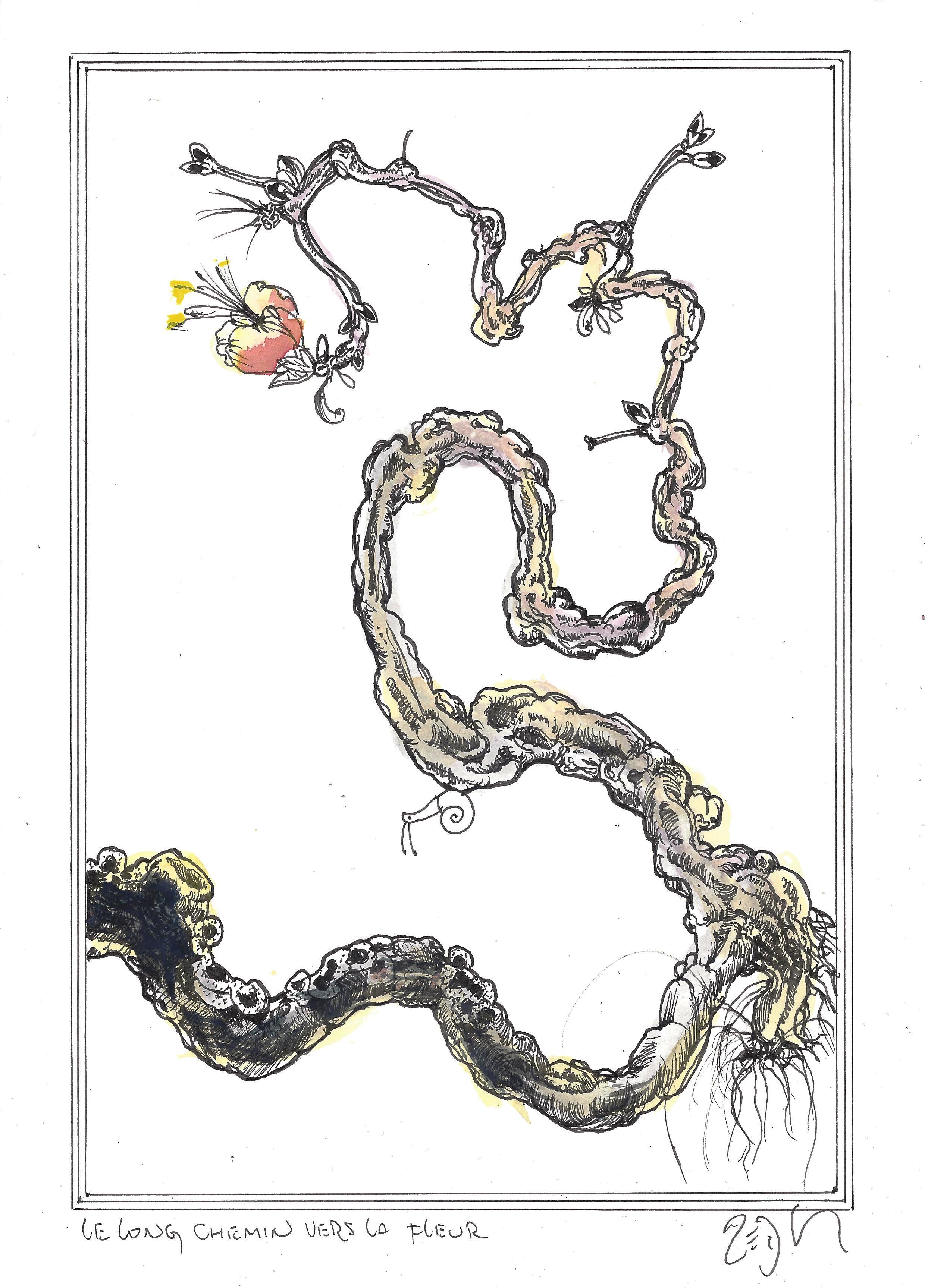 « A long way out to the flower – Le long chemin vers la fleur »