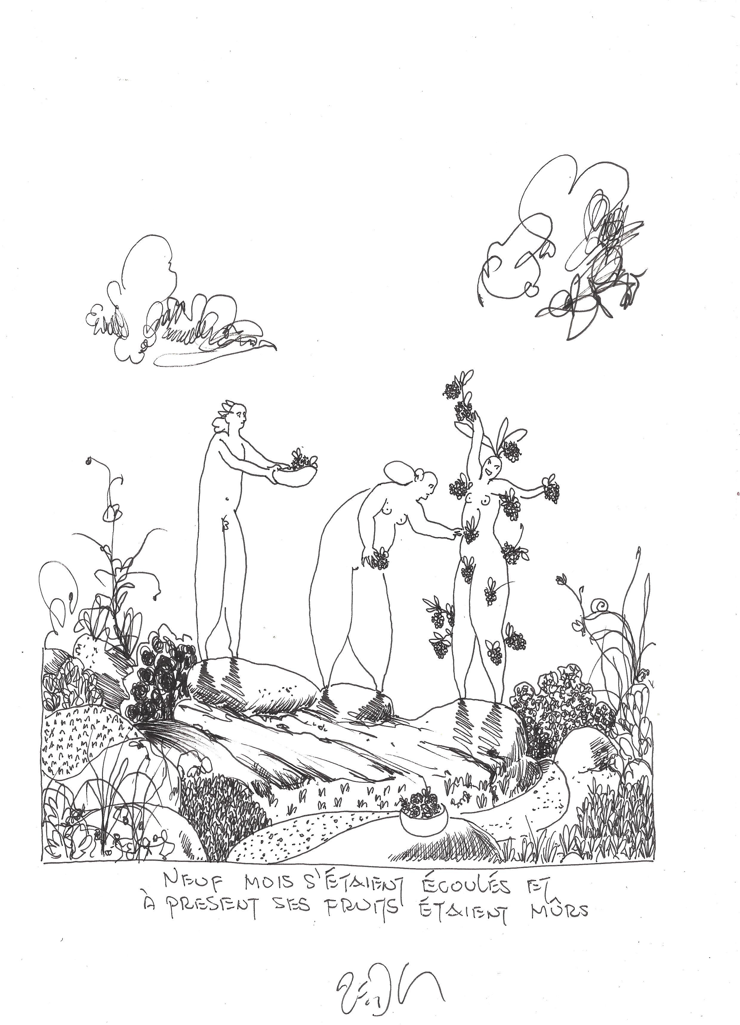 « Nine months had passed and now her berries were ripe – Neuf mois s’étaient écoulés et à présent, ses fruits étaient mûrs »