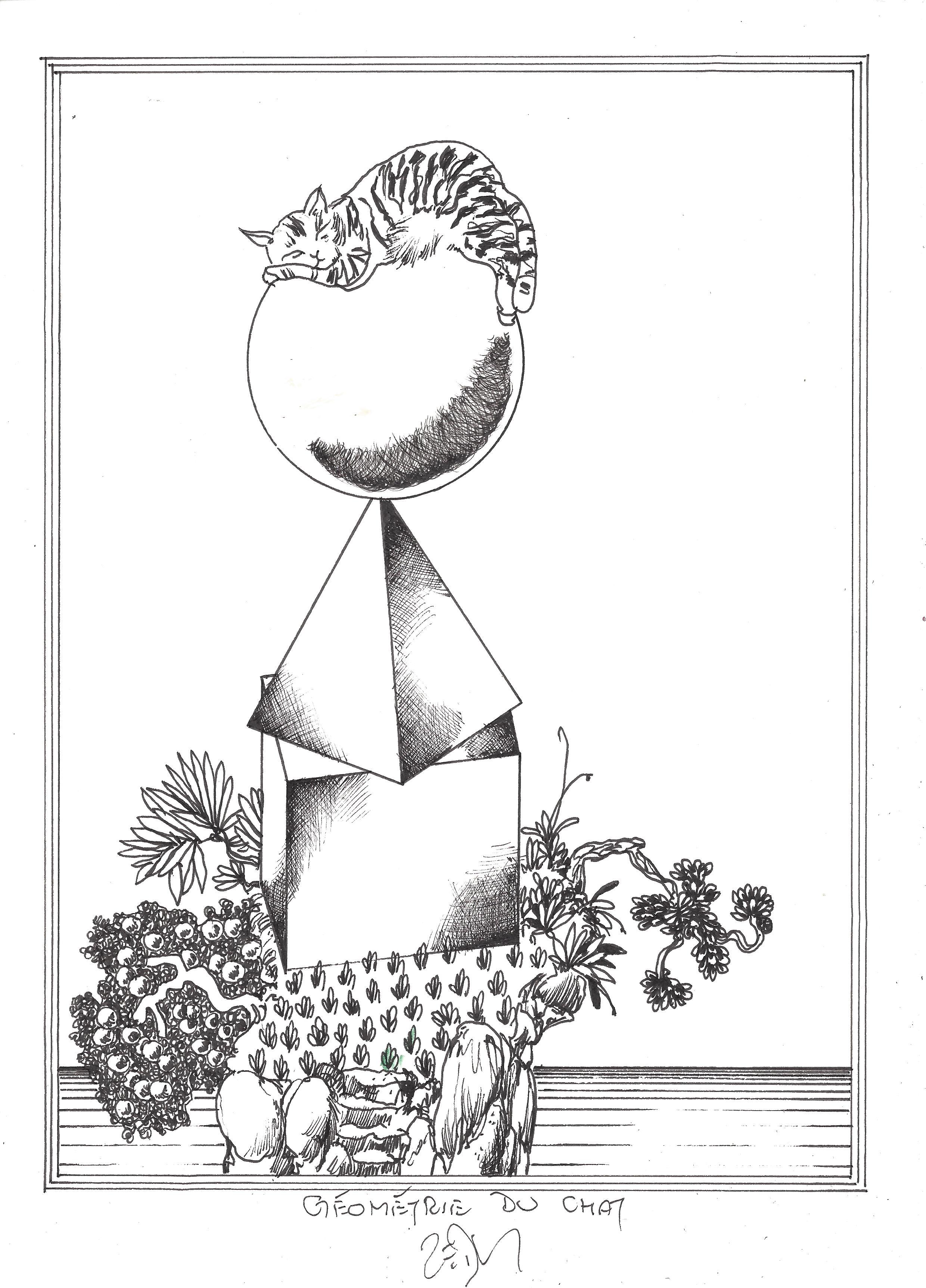 « Cat geometry – Géométrie du chat »