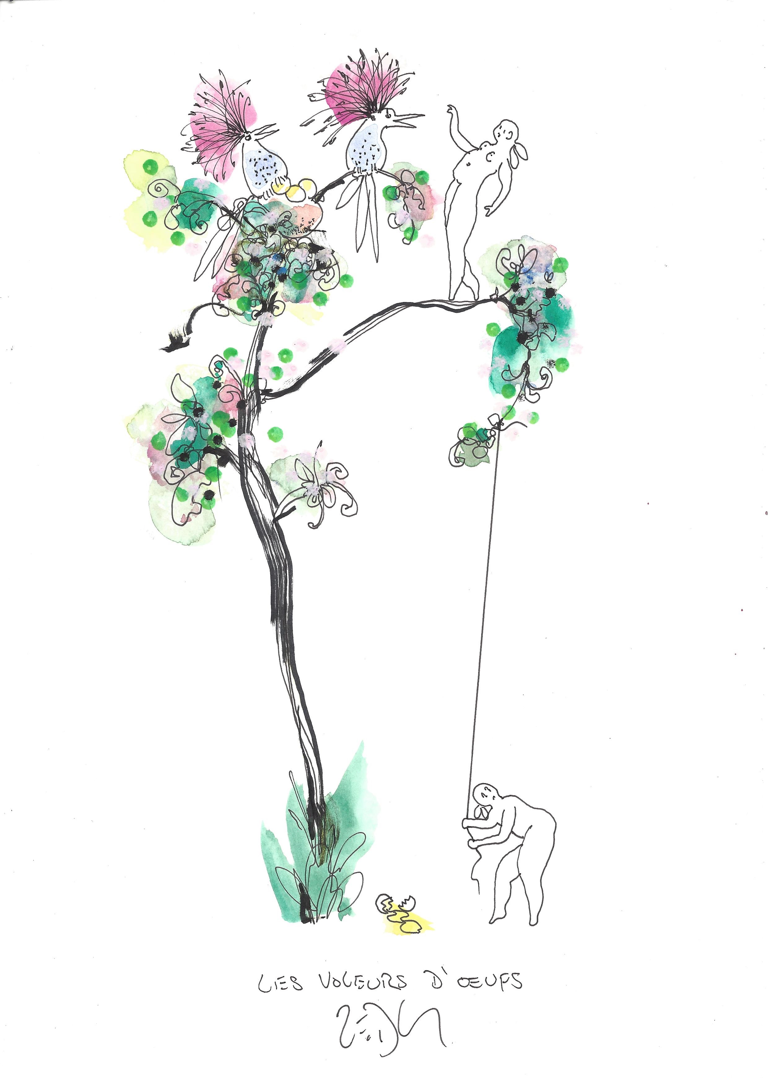 « The egg thieves – Les voleurs d’œufs »