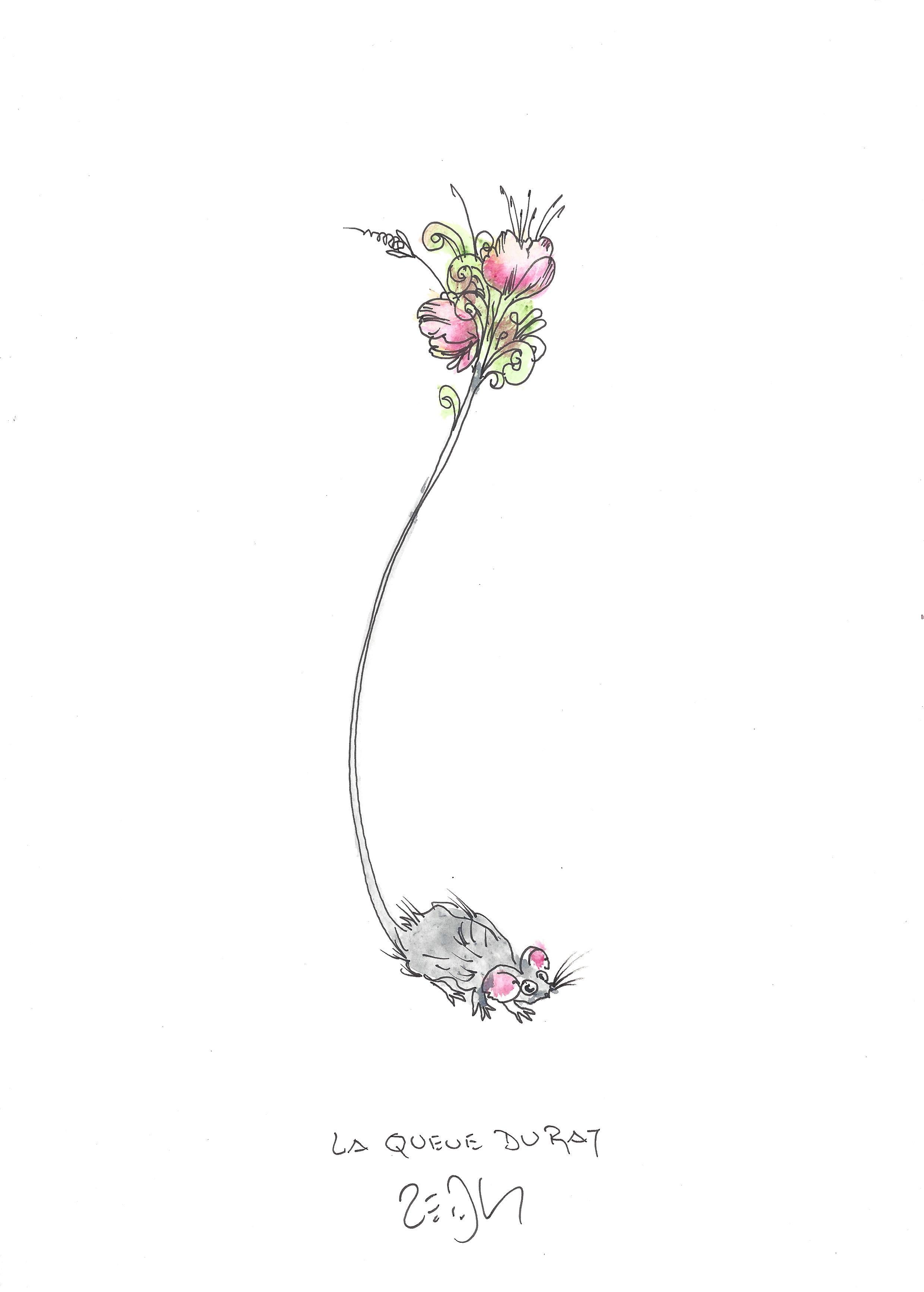 « Rat tail – La queue du rat »