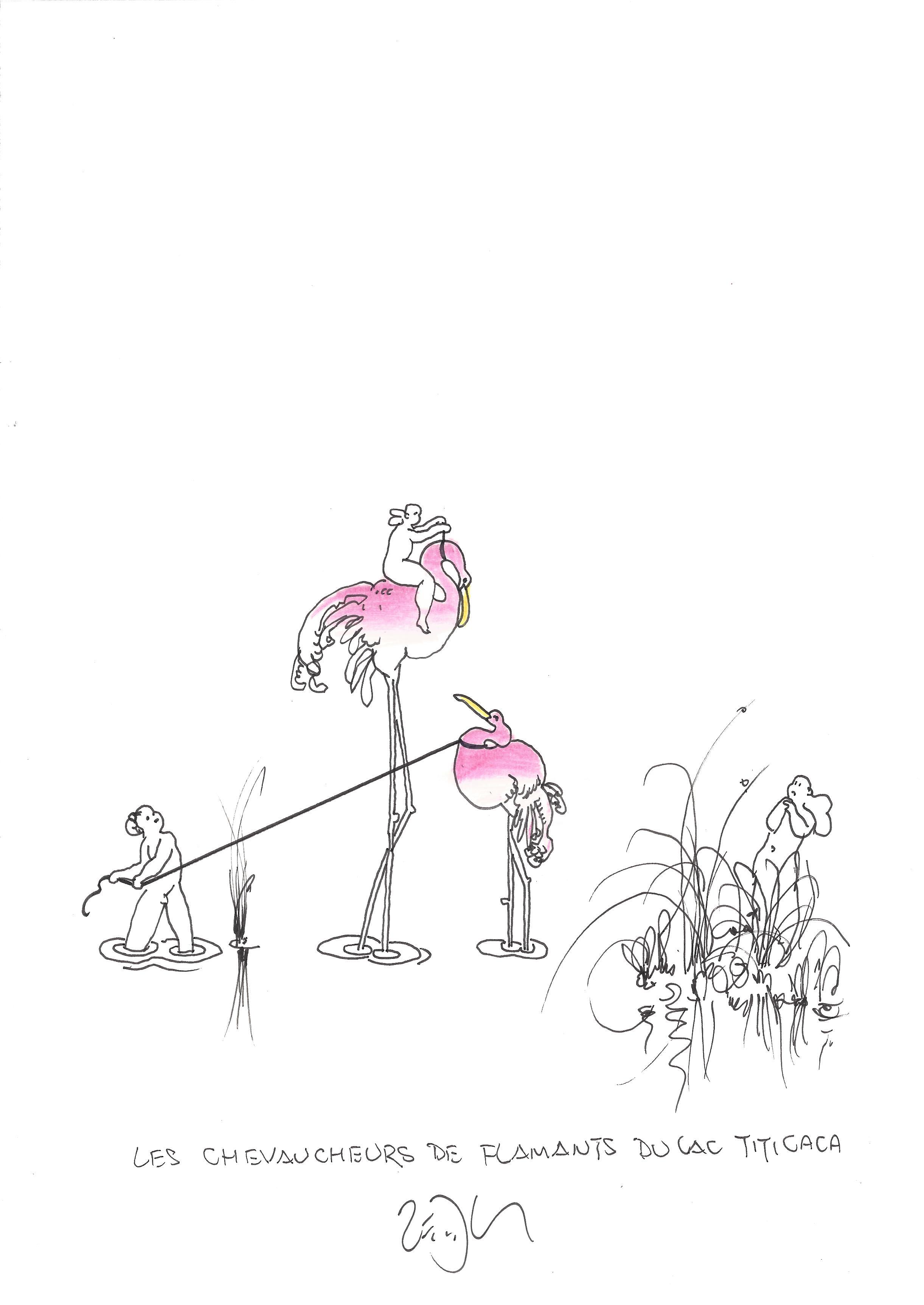« The flamingo riders of Lake Titicaca – Les chevaucheurs de flamants du Lac Titicaca »