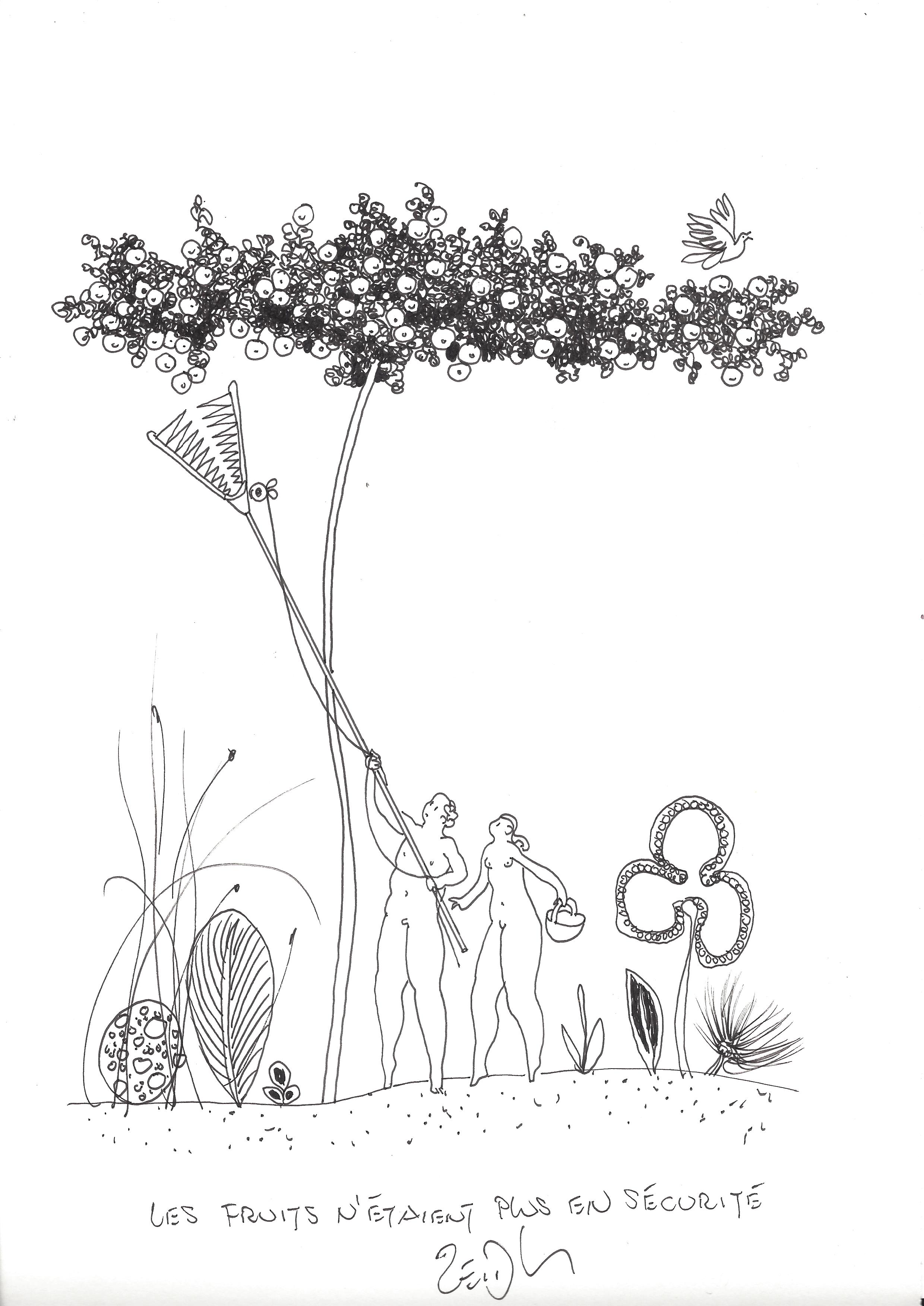 « The fruits were no longer safe – Les fruits n’étaient plus en sécurité »