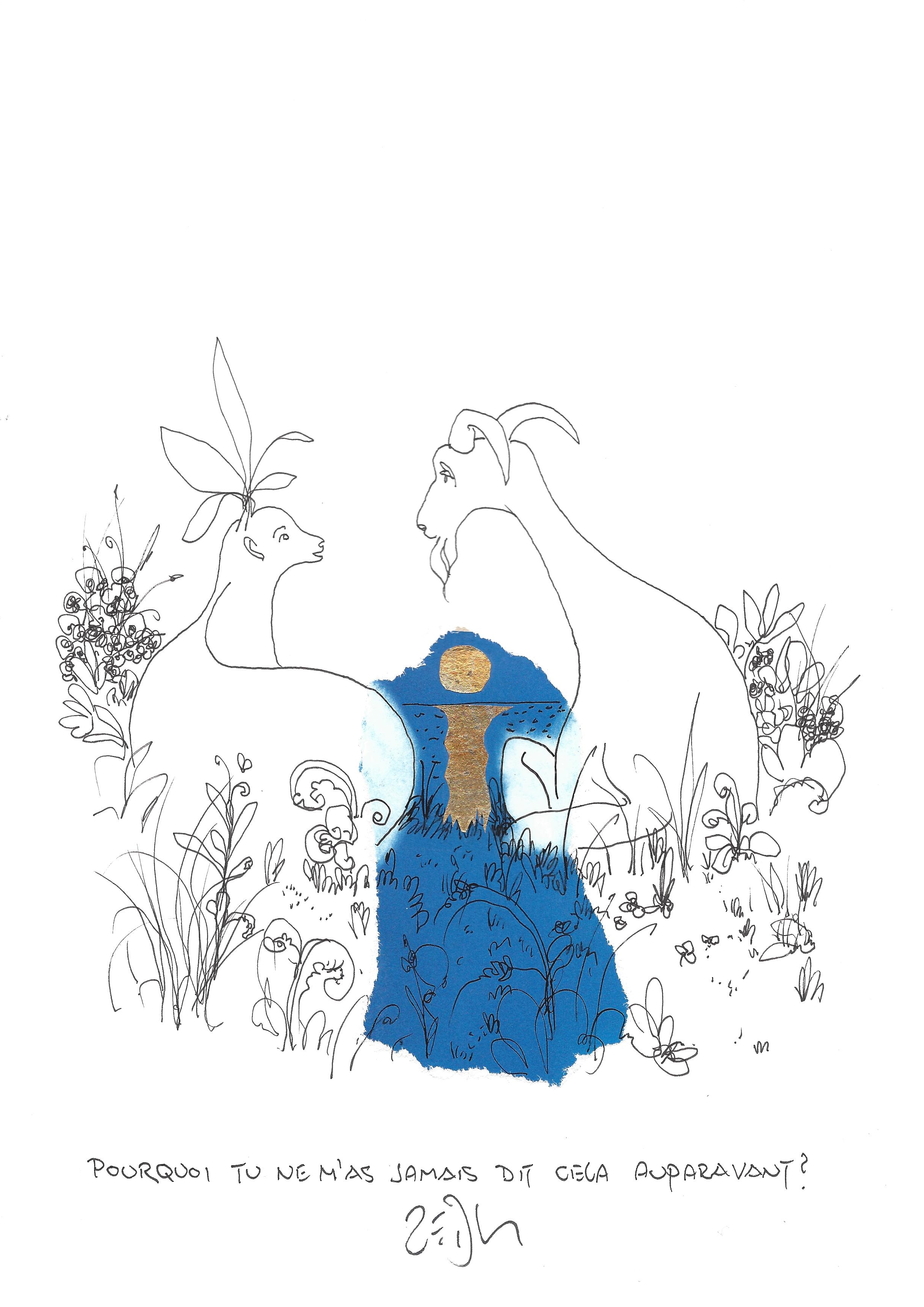 « Why have you never told me this before ? – Pourquoi tu ne m’as jamais dit cela auparavant ? »