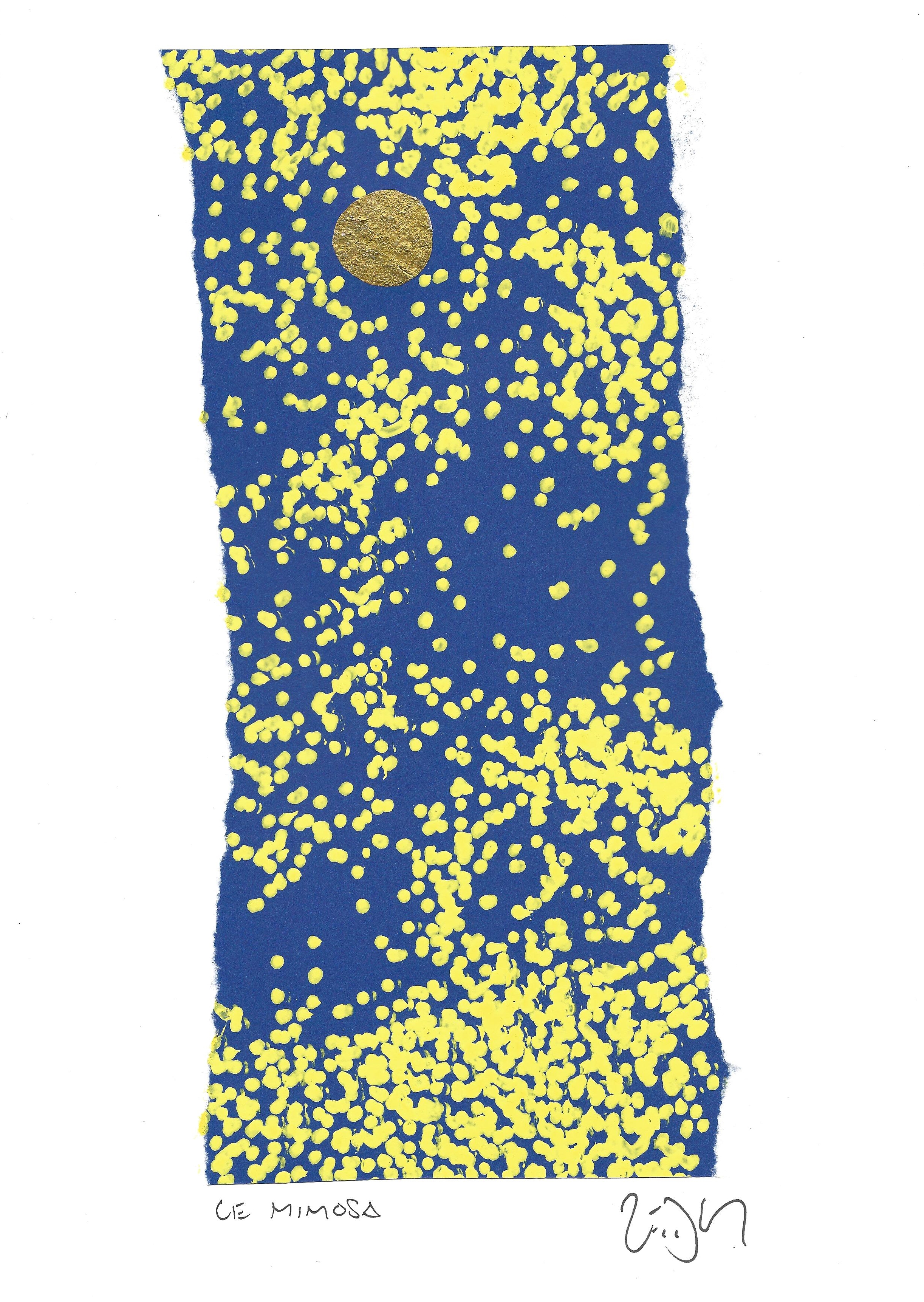 « Mimosa – Le mimosa »