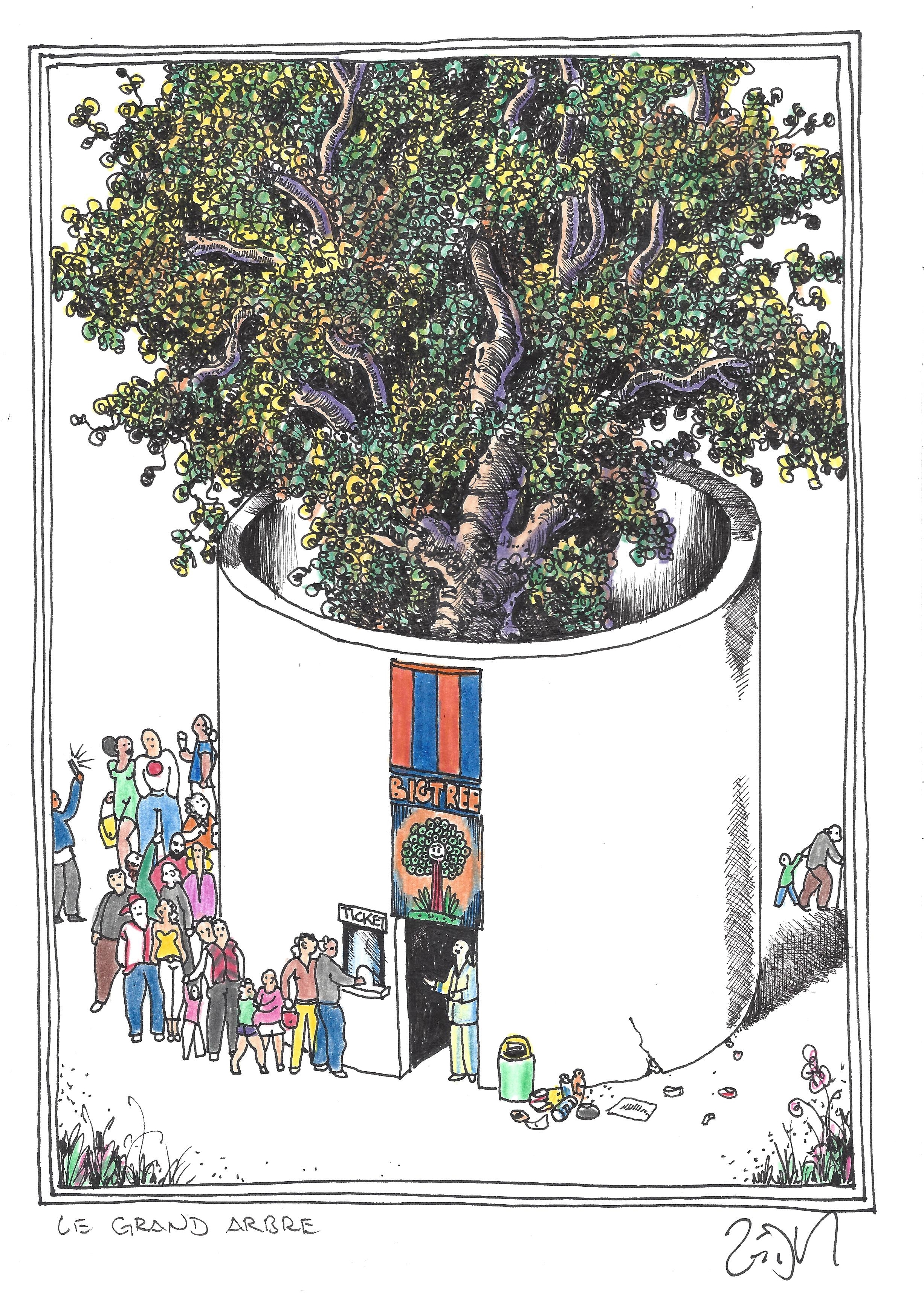 « The big tree – Le grand arbre »