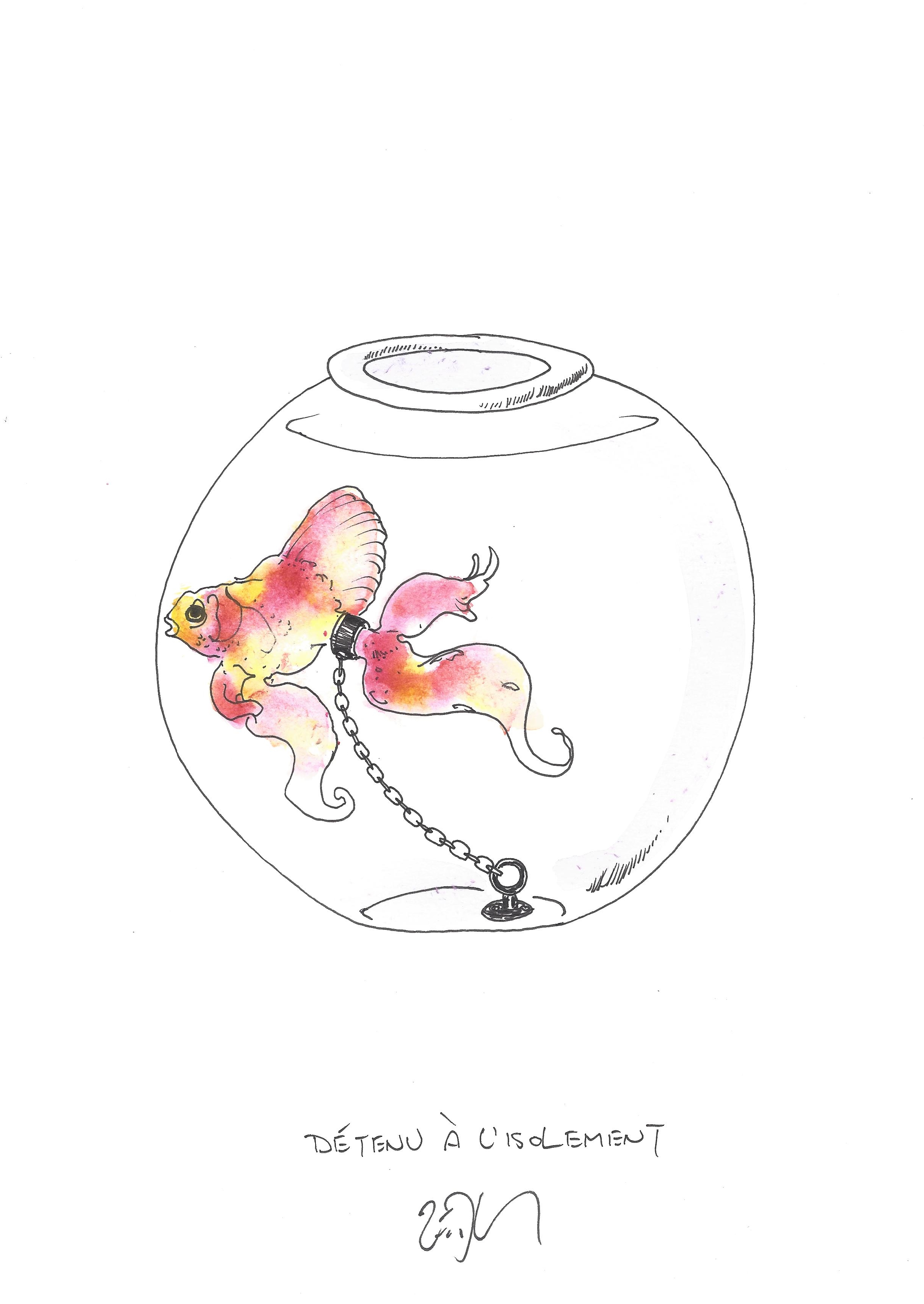 « Solitary confinement – Détenu à l’isolement »